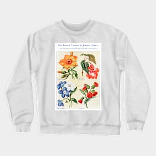 Flower watercolor illustration (1915) Crewneck Sweatshirt